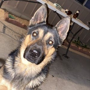 Meet your Posher, Angel